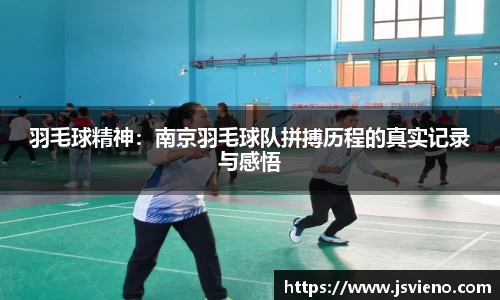 羽毛球精神：南京羽毛球队拼搏历程的真实记录与感悟